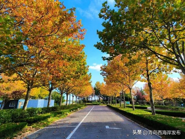 唐岛湾，美得如此满分！