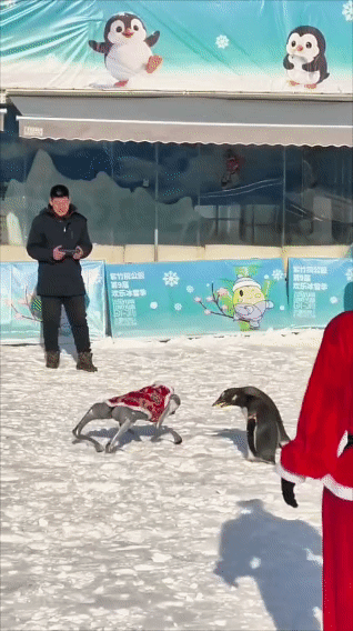 80米超长冰滑梯又双叒来啦！还有企鹅巡游