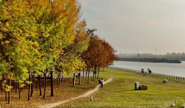 谁说初冬只有萧瑟？来太白湖新区解锁绚烂生机打卡地