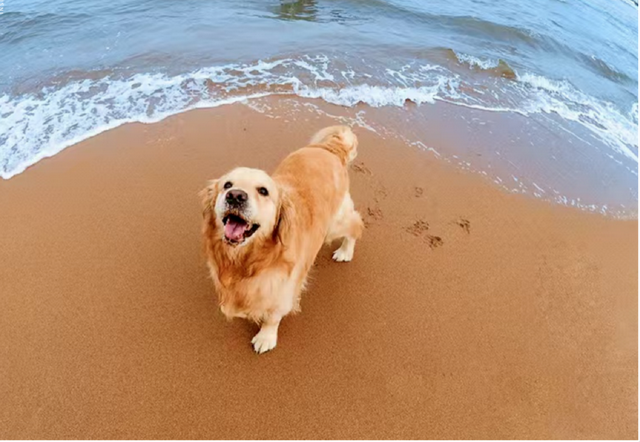 北京独生女：丁克十年	，我后悔了