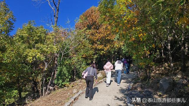 泰安：泰山腰一条鲜为人知的环山小道，却藏着深秋的惊艳