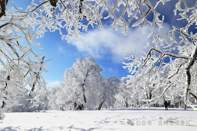 告别金秋，邂逅龙湾初冬！赏雪、观雾凇攻略，这两处景区别错过~