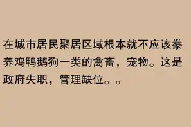上海遛狗尿车胎始末：系女子自曝遛狗保命要紧 细节曝光 舆论一边倒图片