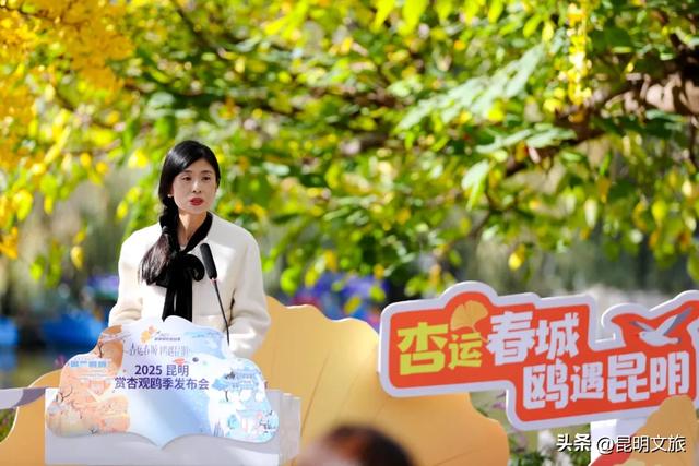 上榜十大热门目的地！年末错峰出游来昆明，观鸥赏杏，攻略都给你做好了~