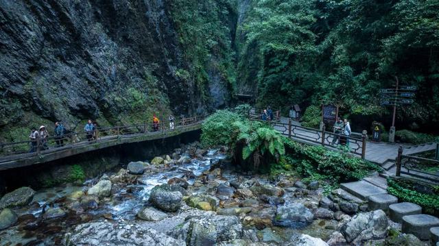 收藏！峨眉山「春日玩耍秘籍」，明天就出发