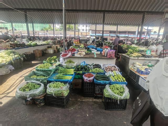 去赶大理凤仪街