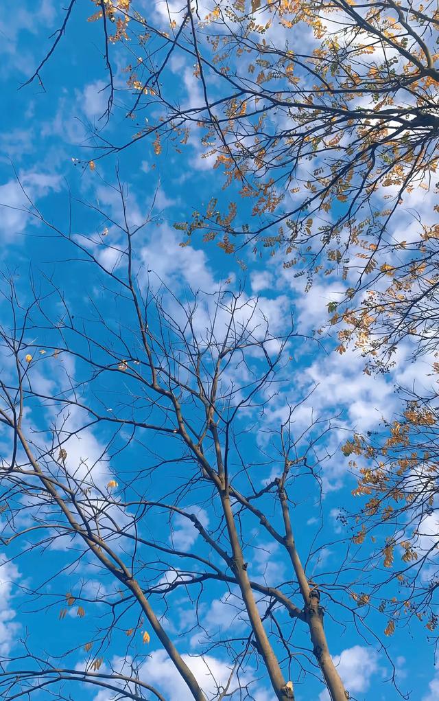 净化心灵的风景壁纸