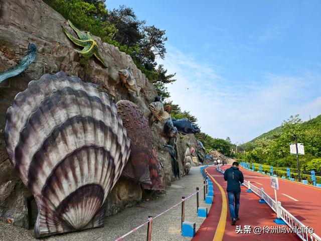 大连海之韵公园·棒槌岛