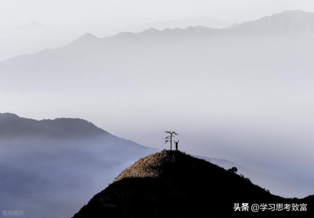 3分钟热度到人生开挂：养成输出型爱好，是普通人最稳的增值方式