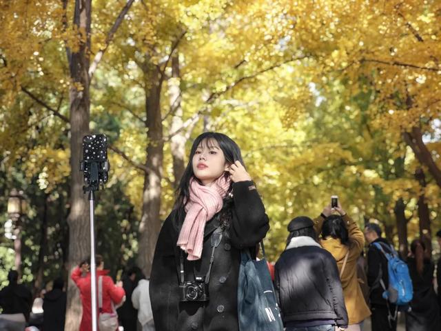 你会怀念这个秋天吗？