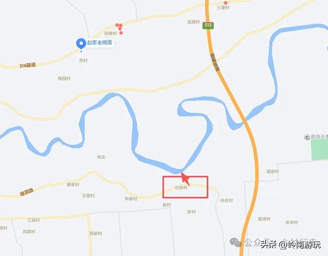 西安出发1.5小时,渭南北拾村上千只白天鹅在等你,内附详细攻略