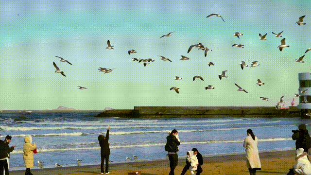 雪雪雪雪！烟台高热玩法攻略来了！