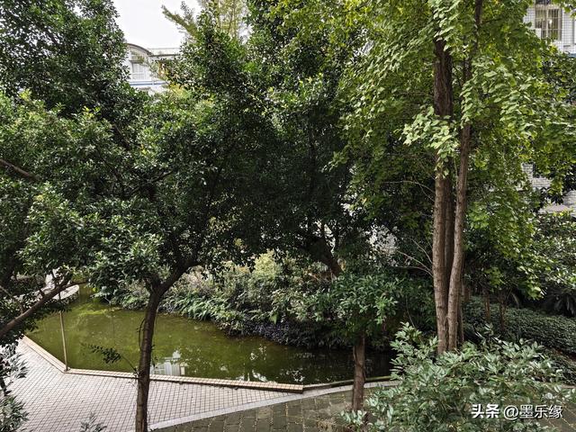 冬夜（散文诗)/墨乐缘