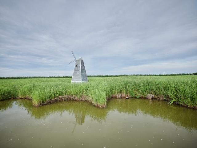 锦州东方华城湿地公园，环境优美，水鸟争鸣，是休闲散心的好去处