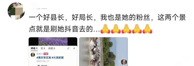 贺娇龙子女的有关情况被曝光 意外发生有原因 她为了拍视频太拼命！