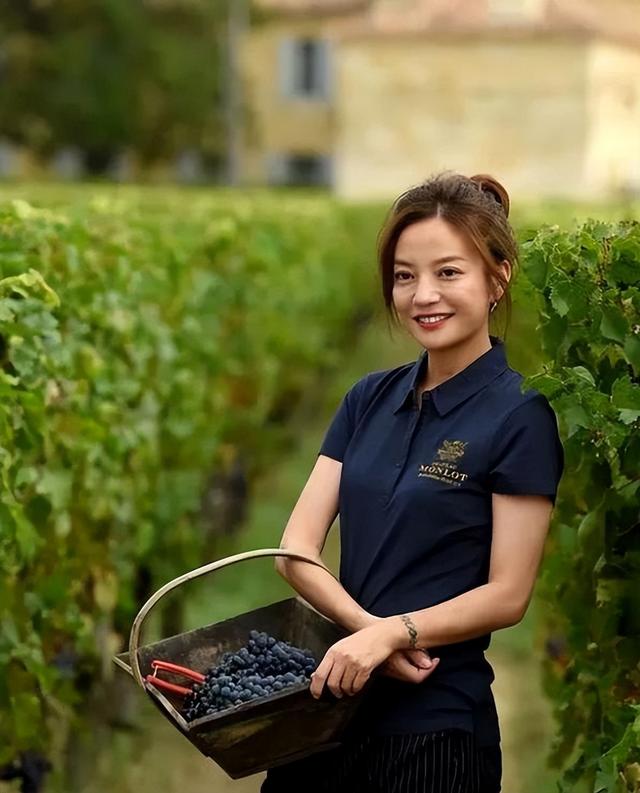 三重身份全崩盘	，赵薇看似走投无路，没想到她还有另一条后路