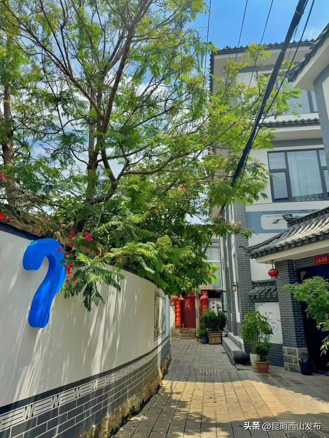 滇池畔小众村落：杨林港——观音山——百草村一日游！