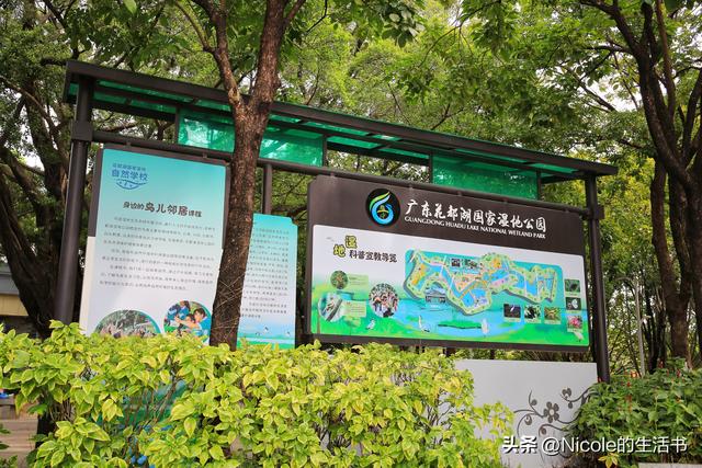 住进广州花都的城市绿洲：商务亲子两相宜