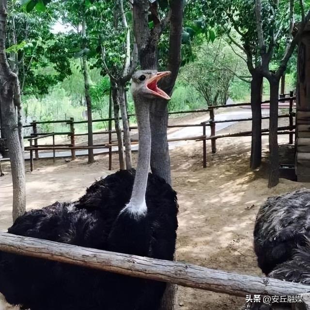 收藏贴！带您玩转潍坊的湖光水色