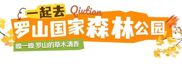 在山东这座小城，我亲手淘到了闪闪的金子！