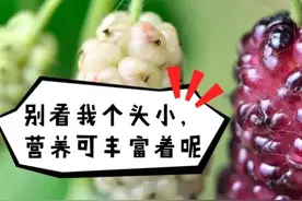 这种水果“花青素”远超蓝莓，护眼还便宜，不给娃吃就亏大了图片