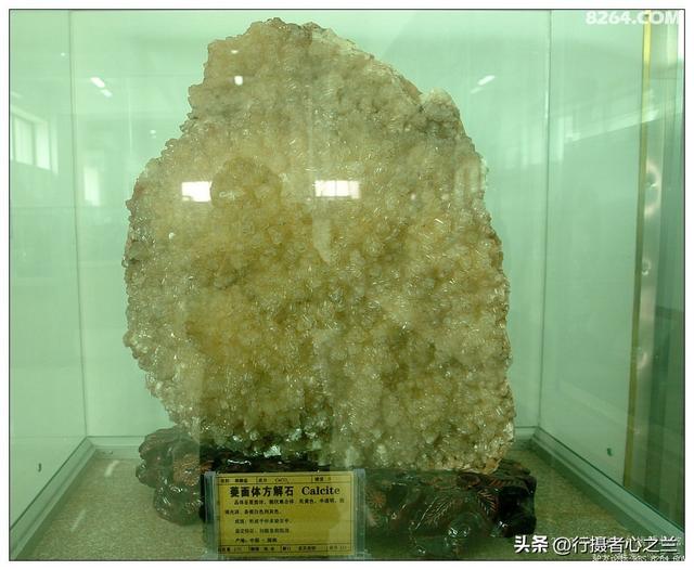 山东行游影记（31）—平邑天宇自然博物馆（六）
