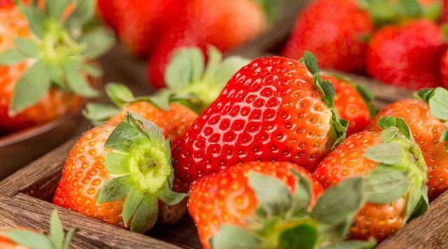 游在鹰潭 | 周末采摘指南！甘蔗清甜、草莓香甜，限定甜蜜等你来【全球学子嘉游赣 奇绝鹰潭逍遥游】