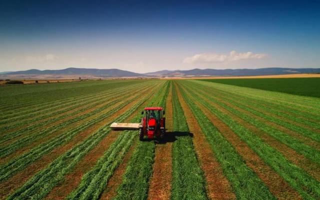 中美俄耕地面积差距太大：美23.7亿亩，俄18.3亿亩，中国令人意外