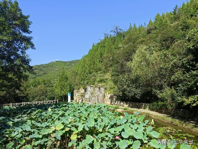无为在歧路，白露潭溪山