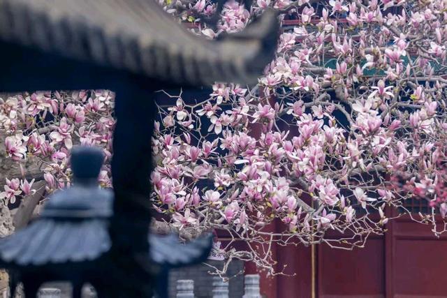 潭柘寺：武警24小时守护的千年古刹，秘密何在？