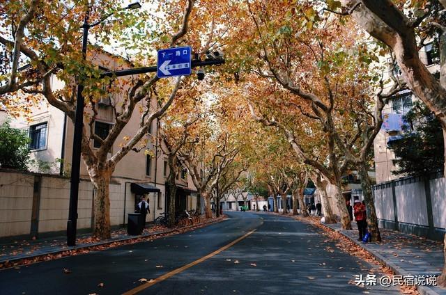 上海这个私人园林变名寺，红啦！