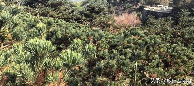 真是醉了，徒步奉化东西岙徐凫岩看悬崖飞瀑堵人竟然堵到怀疑人生