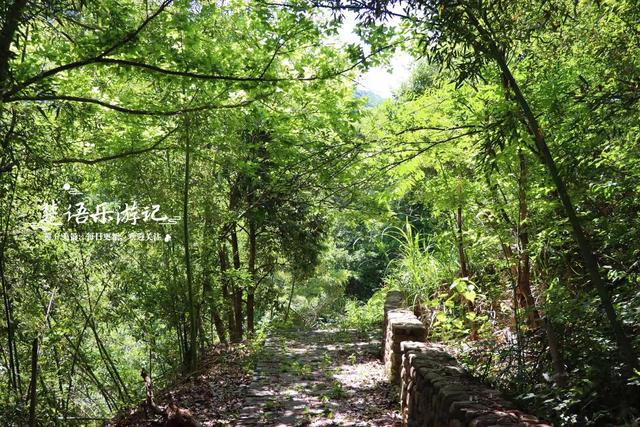 浙江绍兴发现一个森林公园，3条古道犹如绿野仙踪，成为徒步胜地