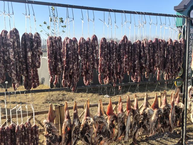 “小上海”有谁来过