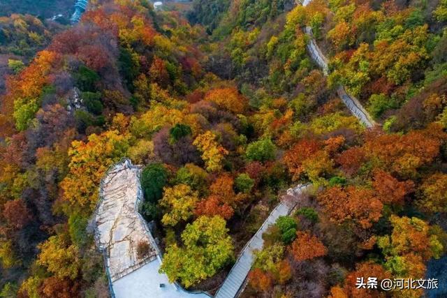 远山如黛，风景如画！来兴隆山，与红叶和云海撞个满怀