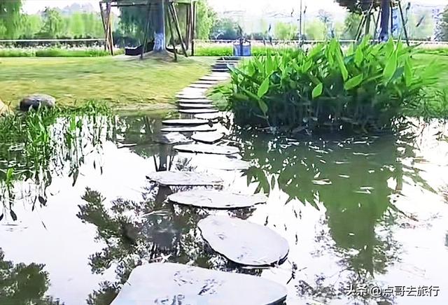 成都邛窑遗址公园，藏着格桑花海，壮观惊艳令人称奇，不要门票！