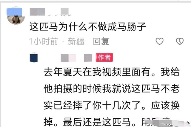 贺娇龙好友曝事发细节，养马人：掉马最怕脚被套牢，网友提醒成真