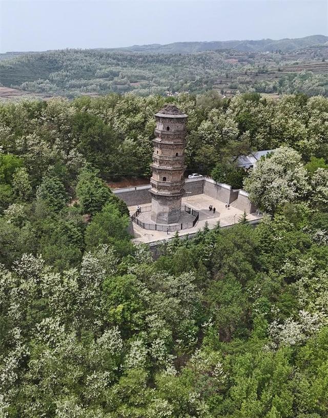 这才是5月陕西最值得去的小城！40万亩花海开爆，满城飘香！