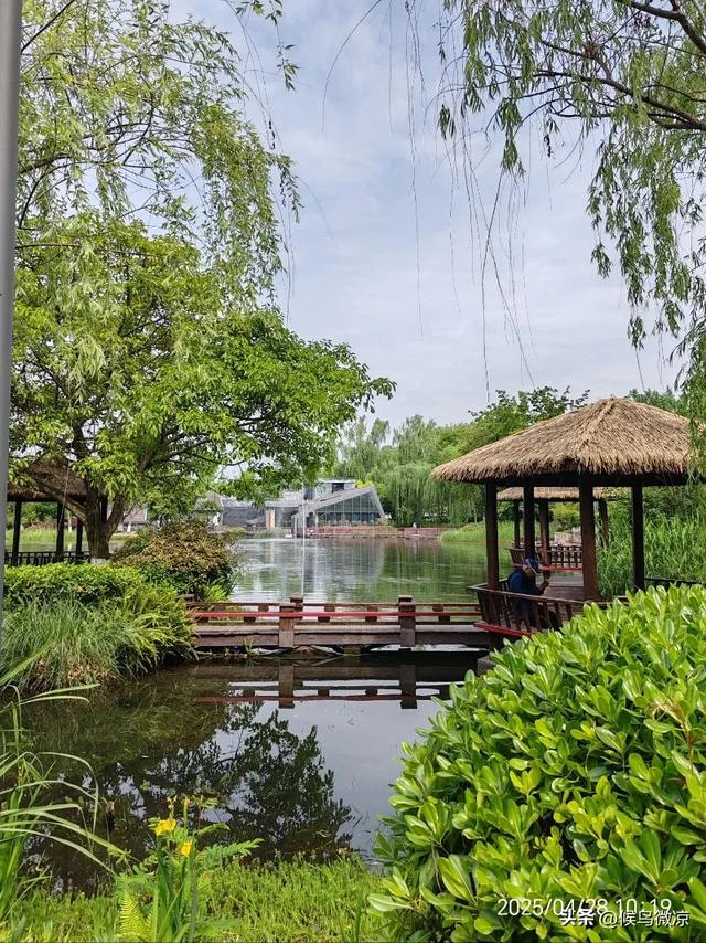 漫步成飞公园：领略航空魅力