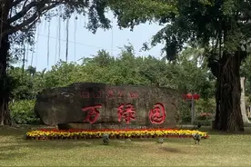 海南之旅——海口万绿园图片