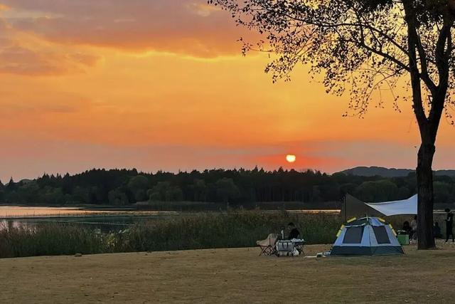 免费！无锡“巨无霸”公园火了