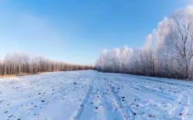 今冬最冷时间表出炉,何时最冷?2026年春节冷不冷?早看早知道