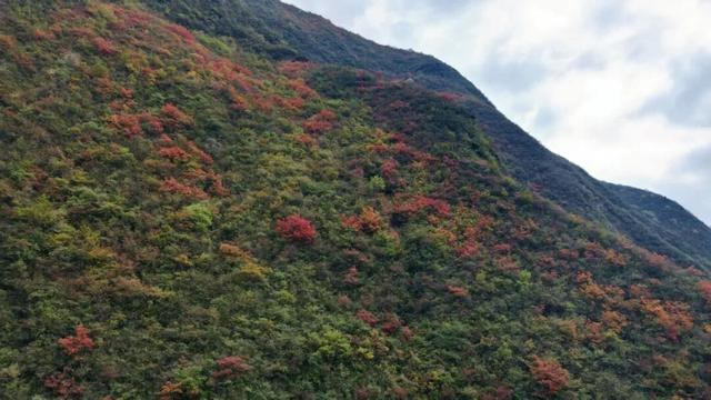 范坝秋光里：诗画田园入梦来