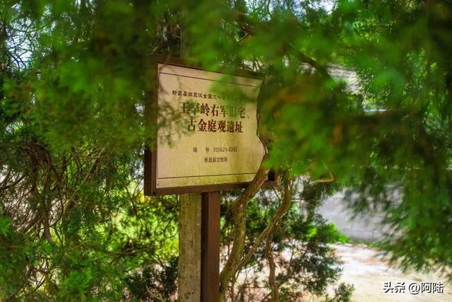 历经艰辛来到金庭观遗址，却只见一棵老树婆娑，新昌文旅赔我油钱