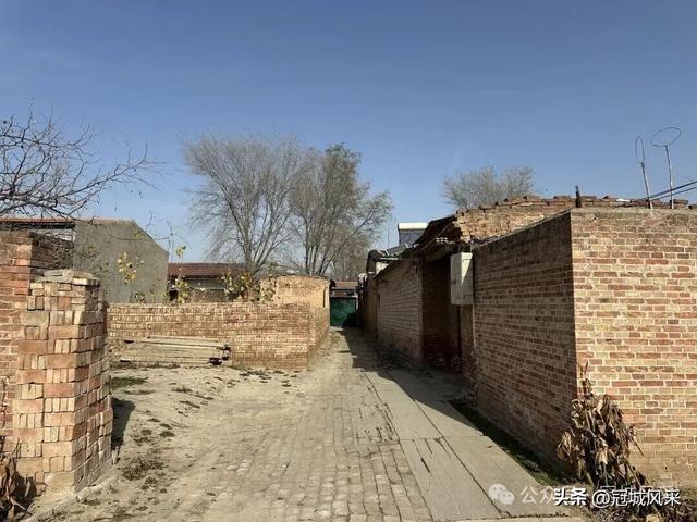 冠县乡韵·辛集镇饮马庄