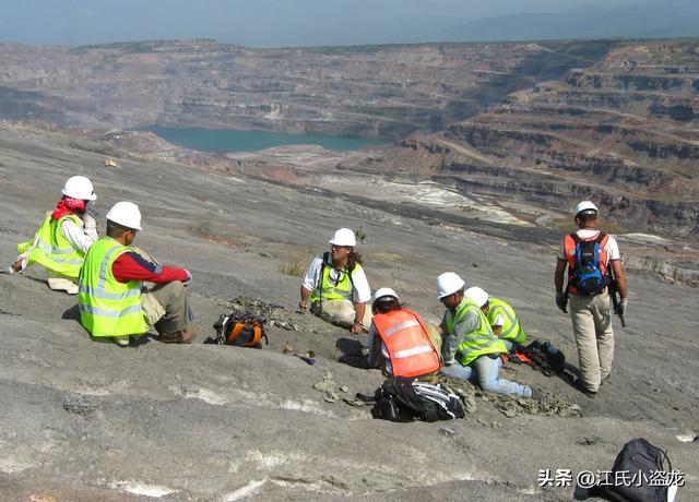 狂蟒之灾：地球生命史上的五大巨蛇全盘点！