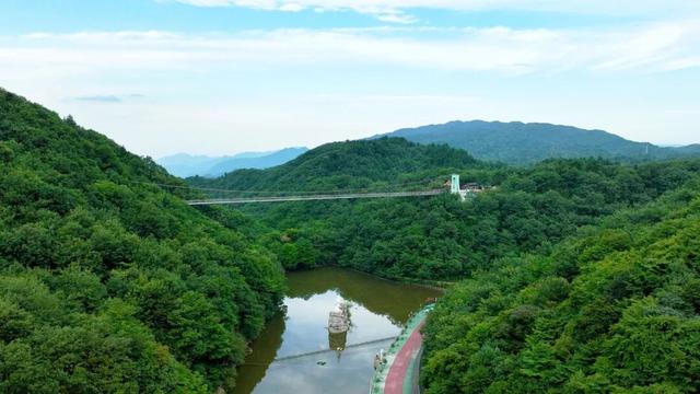 39项！宁强“双节”文旅活动出炉→