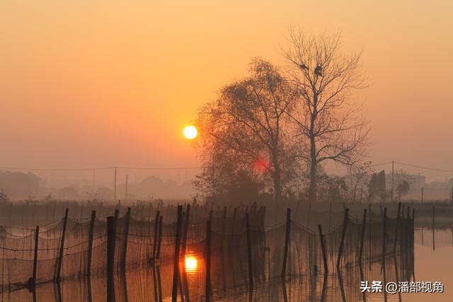 冬日的无锡白米荡风光