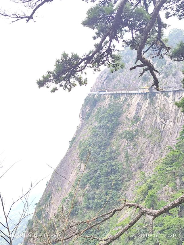 看明堂山⛰️万米高空玻璃栈道！悬崖天路！人间仙境！