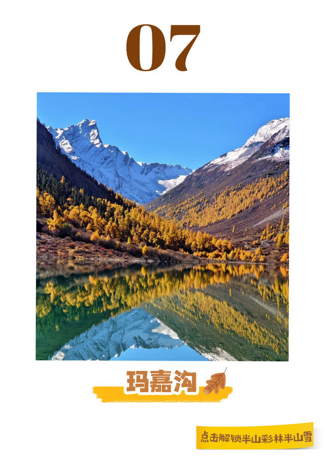 半山彩林半山雪！现在的阿坝美的我眼前一亮又一亮！